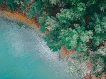 10 Day Meditation Challenge For Beginners #7 Self-Compassion