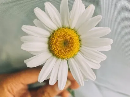 Cultivating Self Compassion