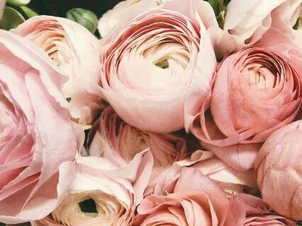 Cultivating Self-Compassion, A Gentle Journey