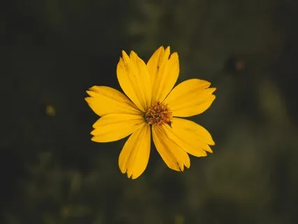 Cultivating Self-Compassion In Times Of Difficulty