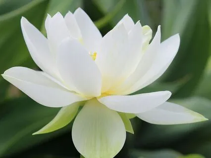 Cultivating Self-Compassion Through Energetic Work