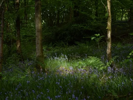 Cultivating Self-Compassion With EFT