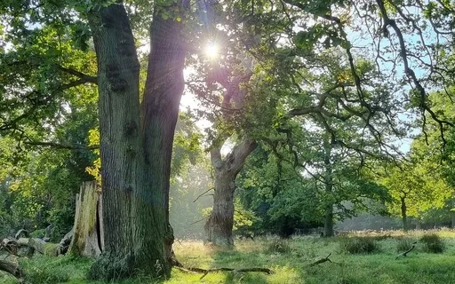 Cultivating Self Confidence