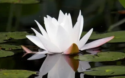 Cultivating Self-Love