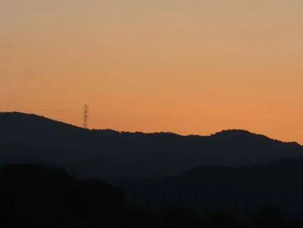 Cultivating Self Love And Compassion