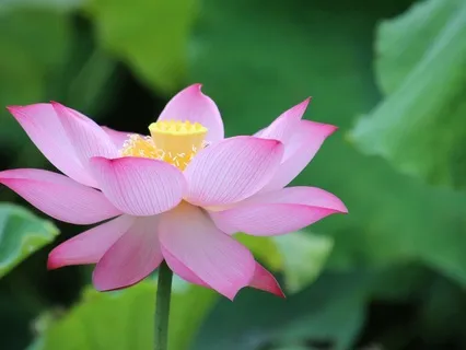 Cultivating Self-Love