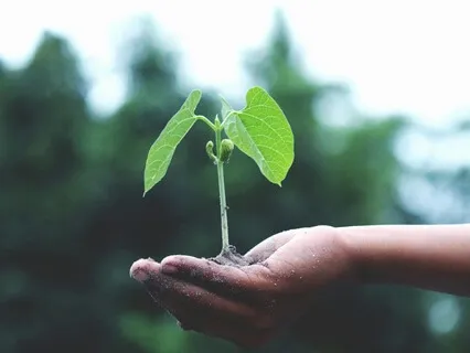 Cultivating Self-Love