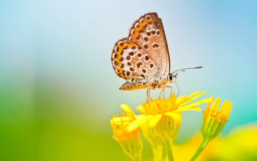 Cultivating Self Trust