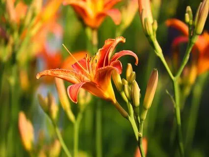 Cultivating Self-Trust