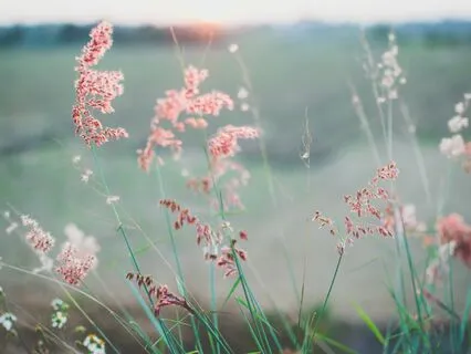 Cultivating Self-Love