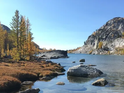 Cultivating Skillful Thinking