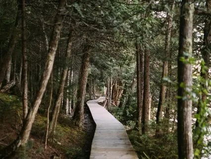 Cultivating Soft Internal Boundaries | Healing Meditation