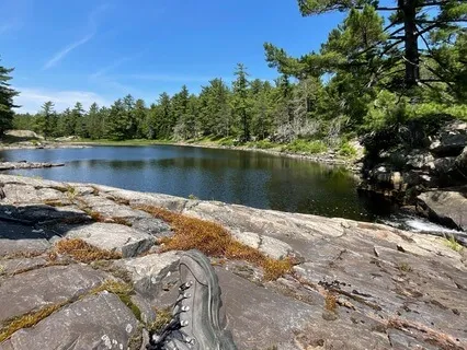 Cultivating Stillness