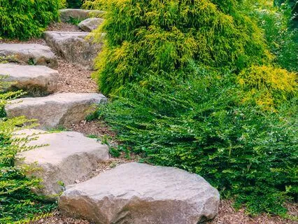 Cultivating Trust & Guidance: A Blessing Meditation - 6 Min