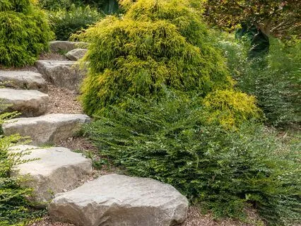 Cultivating Trust & Guidance: A Blessing Meditation