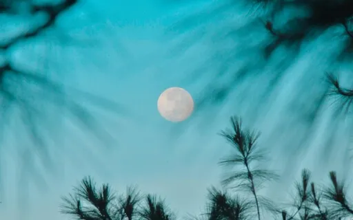 Cup Of Growth: Finding Lightness In Tough Times