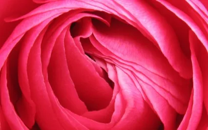 Cura da Criança Interior