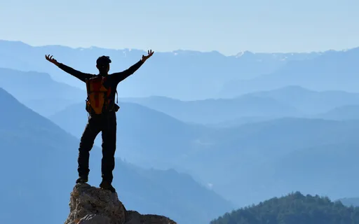 Curate The Life You Desire