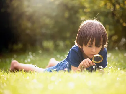 Curiosity, A Side Effect Of Living Well