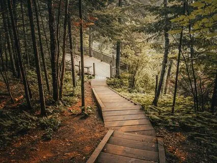 Curiosity & Letting Go