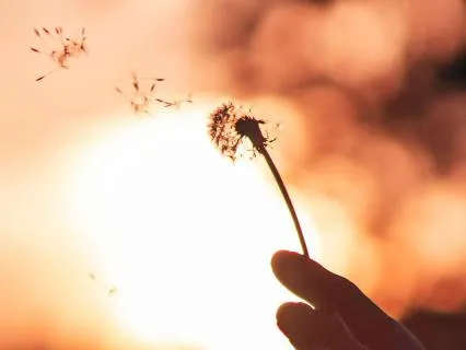 Open Awareness | Curiosity & Letting Go