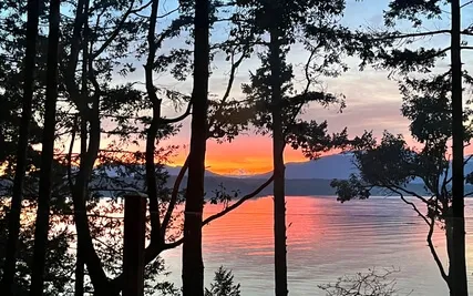 Current State Check In With Body Scan