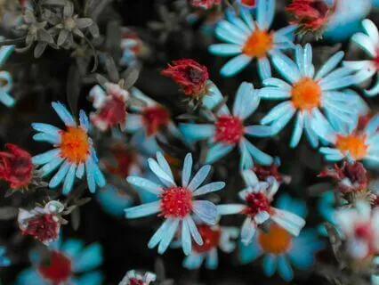 Cut Cords Of Attachment From A Parent Sleep Meditation