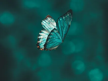 Cut Energetic Cords & Clear Your Energy