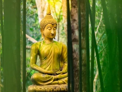 Cut Out That Racket: Dealing With Distractions In Meditation 