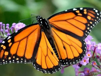 Cutting Cords And Releasing Old Energy