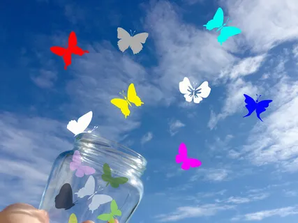 Cutting Through Illusion