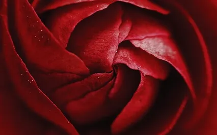 Cycle Check-In Meditation | Short Version (No Music)