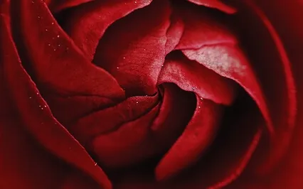 Cycle Check-In Meditation | Short Version (With Music)