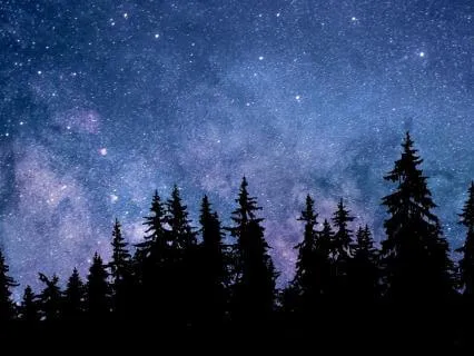 Cycles & Gratitude | Meditative Sleep Story With 432Hz Music