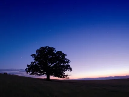 Cycles (Guitar, Ambient Strings)