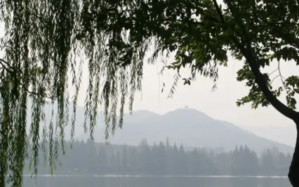 Cycles Of Life Guided Meditation