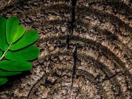 Cycles Within Cycles