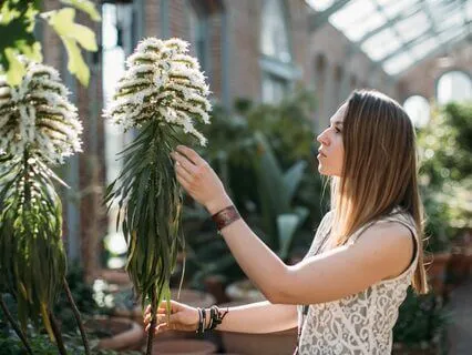 Cyclic/Physiological Sighing Stress Breathwork With Intro