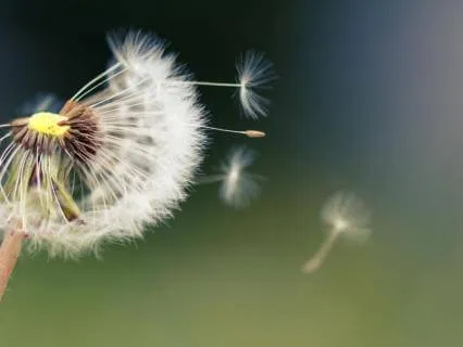 Cyclic Sigh Breathing: A Gentle Practice For Anxiety Relief