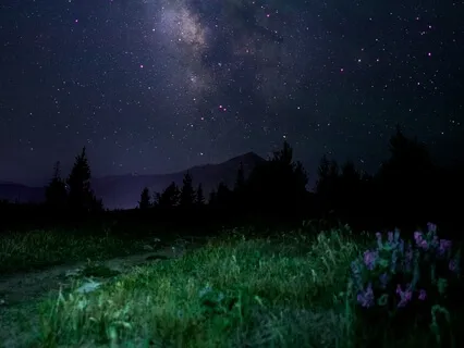 Подсчет Дыханий (Йога Нидра)