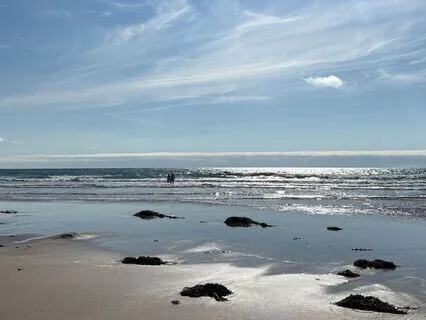 Daily Abundance Alignment: Tune Into Flow