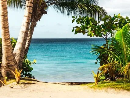 ADHD Practice - A Dopamine Boost