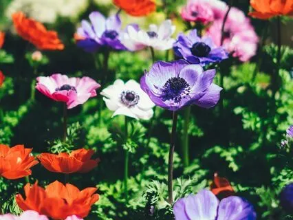 Daily Affirmation For Radical Self-Love