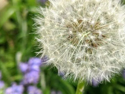 Daily Affirmation to Start the Day