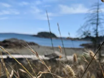 Daily Affirmation To Start Your Day-Thursday