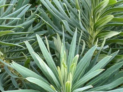 Daily Affirmation To Start Your Day-Saturday