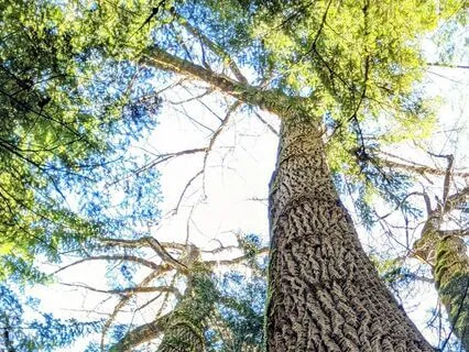 Daily Affirmation To Start Your Day- Monday