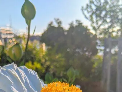 Daily Affirmation To Start Your Day-Sunday