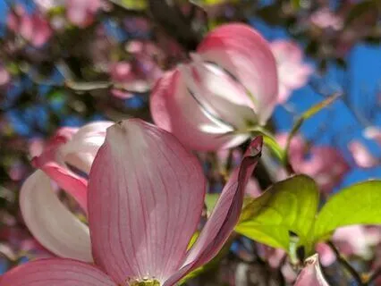 Daily Affirmation To Start Your Day- Tuesday