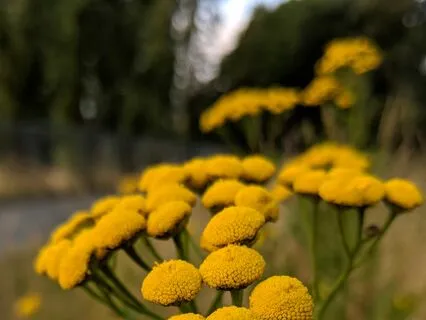 Daily Affirmation To Start Your Day-Wednesday